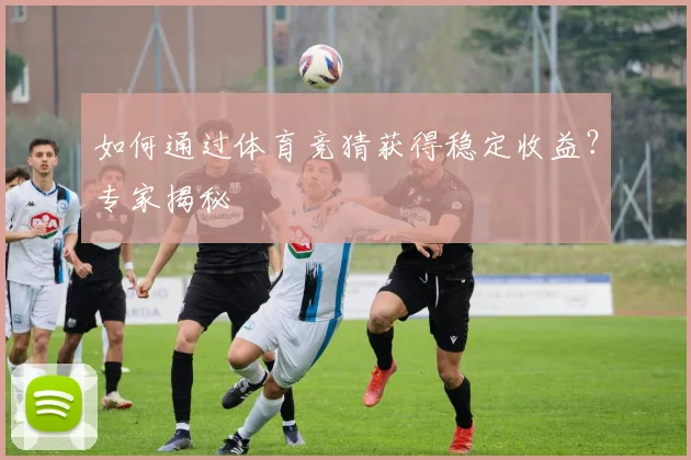 如何通过体育竞猜获得稳定收益?专家揭秘